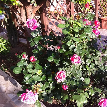 B&B Torre Del Pozzo 사르치투 쿠글리에리