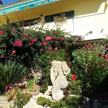 B&B Torre Del Pozzo 사르치투 쿠글리에리