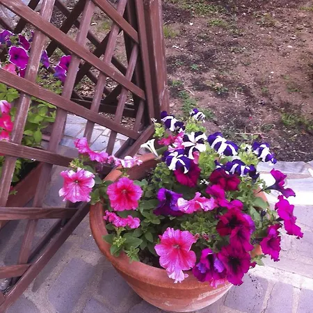 Torre Del Pozzo Bed & Breakfast
